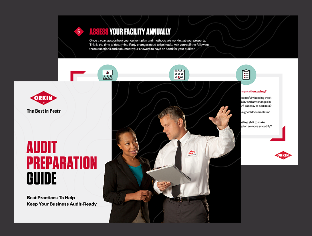 Best Practices To Help Keep Your Business Audit-Ready